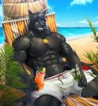 abs anthro beach biceps fur hair hammock male muscular muscular_male pecs seaside sitting tattoo kuron cell_(unknown) canid canine canis mammal wolf 2019 digital_media_(artwork)