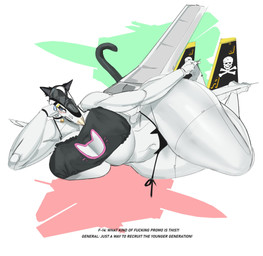 aircraft anthro black_clothing black_underwear clothing female machine profanity solo text underwear vehicle white_body quattrant aeromorph humanoid living_aircraft living_machine living_vehicle english_text hi_res tagme