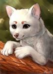 brown_eyes feral fur paws quadruped solo white_body white_fur noquelle canid canine mammal digital_media_(artwork)