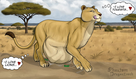 after_vore belly big_belly black_claws black_tail_tip claws dipstick_tail duo female female_pred feral feral_pred fur heart_symbol human_prey male markings savanna speech_bubble tail tail_markings tan_body tan_ears tan_fur tan_legs tan_tail text vore dragonczech felid human lion mammal pantherine 2026 english_text hi_res watermark