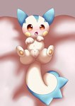 female feral genitals pussy horuru nintendo pokemon generation_4_pokemon pachirisu pokemon_(species) tagme