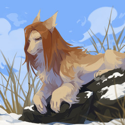 back_tuft blue_sky brown_hair chest_tuft cloud ears_back female feral fur glistening glistening_eyes grass hair leg_tuft lying mouth_closed narrowed_eyes on_front outside pivoted_ears plant quadruped rock sky snow solo tan_body tan_fur tuft unsigned corzh77 species_request 1:1 absurd_res hi_res
