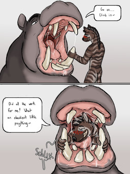 anthro anthro_prey blush bodily_fluids body_in_mouth duo excessive_saliva in_mouth licking looking_into_mouth male male/male mawplay mouth_shot on_tongue open_mouth saliva saliva_string size_difference tongue tusks vore willing_prey hgythshs shuck common_hippopotamus hippopotamid mammal absurd_res hi_res
