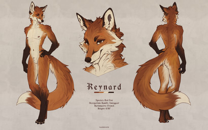 animal_genitalia anthro black_body black_claws black_fur black_hands black_legs brown_eyes cheek_tuft claws facial_tuft fangs fangs_bared fluffy fluffy_ears fluffy_tail front_view fur genitals long_tail male navel nipples nude nude_anthro nude_male rear_view red_body red_fur sheath simple_background slim smile smug_face solo standing tail teeth text tuft white_body white_fur tashiroth canid canine fox mammal red_fox true_fox 16:10 absurd_res english_text hi_res huge_filesize model_sheet widescreen