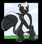 anthro faceless featureless_crotch featureless_feet featureless_hands feet grass latex male null plant plantigrade sky solo standing tallarra animate_inanimate living_latex mammal mephitid skunk hi_res