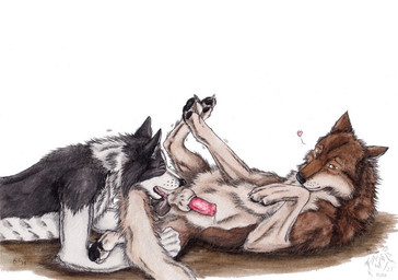animal_genitalia animal_penis anthro anthro_on_feral ball_lick balls bestiality black_body black_fur brown_body brown_fur canine_genitalia canine_penis claws duo erection eyes_closed fangs fellatio feral fur genitals knot knot_in_sheath knotted_penis licking logo looking_at_viewer lying male male/male mouth_closed nude on_back open_mouth oral orange_eyes penile penis penis_tip red_penis saliva_on_balls sex sheath side_view simple_background teeth tongue tongue_out white_background white_body white_claws white_fur kola_(artist) border_collie canid canine canis collie domestic_dog herding_dog mammal pastoral_dog sheepdog wolf 2025 artist_logo dated