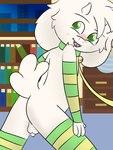 anthro armwear balls butt clothing collar elbow_gloves genitals gloves handwear leash leggings legwear male penis raised_tail solo tail young skyflys undertale undertale_(series) asriel_dreemurr bovid caprine goat mammal 3:4 hi_res