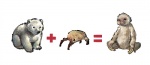 baby bear claws cute fur half-life headcrab keaze mammal plain_background polar_bear sloth the_truth white_background young
Rating: Safe
Score: 6
User: Chromaskunk
Date: February 09, 2011