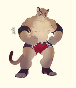 anthro bottomwear clothing fighter_outfit flexing footwear male musclegut muscular muscular_male nipples pose protective_gear shorts simple_background solo tail toeless_footwear wrestler merfiller ricius_teck cougar felid feline mammal absurd_res hi_res pinup sketch