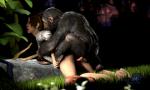 2015 3d_(artwork) 3d_animation 5:3 animated ape bestiality chimpanzee clothed clothing digital_media_(artwork) duo erection far_cry female female_on_feral feral genitals gob_bluth_sfm haplorhine human human_on_feral interspecies lisa_snow low_res male male/female male_on_human mammal nude pan_(genus) penis primate pussy realistic_feral short_playtime source_filmmaker_(artwork) ubisoft vaginal