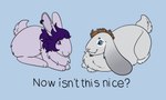 buckteeth duo dvntesparadiso facial_hair feral floppy_ears fluffy_chest fur goatee grey_body grey_fur hair lop_ears male mohawk now_isnt_this_nice purple_hair sharp_teeth teeth x_pupils link_(loppearlink) viba_(cryptiacurves) domestic_rabbit lagomorph leporid lop_rabbit mammal oryctolagus rabbit absurd_res draw_over hi_res meme