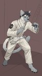 anthro blue_eyes chest_tuft cloth_belt clothing fighting_pose fur grey_body grey_fur hair looking_ahead male martial_arts_dojo martial_arts_uniform multicolored_body multicolored_fur pawpads pose shadow solo sportswear tan_body tan_fur text text_on_clothing tuft two_tone_body two_tone_face two_tone_fur banoncat banoncat_(character) domestic_cat felid feline felis mammal siamese 2023 absurd_res hi_res