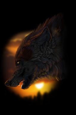 brown_body brown_fur day detailed_background feral fur open_mouth outside sky solo sun teeth tongue yellow_eyes wolfroad canid canine canis mammal wolf 2013 2:3 digital_media_(artwork) headshot_portrait hi_res portrait