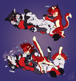 animal_genitalia animal_vulva anthro anthro_on_feral anthro_on_top anthro_penetrating anthro_penetrating_female anthro_penetrating_feral anus backsack balls bestiality biped blush bodily_fluids breath canine_genitalia canine_vulva claws collar countershade_face countershade_fur countershade_legs countershade_tail countershade_torso countershading duo eyes_closed fangs female female_on_bottom female_penetrated feral feral_on_bottom feral_penetrated fur genital_fluids genitals heart_symbol inner_ear_fluff interspecies larger_female larger_feral larger_on_bottom larger_penetrated lying male male/female male_on_feral male_on_top male_penetrating male_penetrating_female male_penetrating_feral on_back on_bottom on_front on_top pawpads paws penetration penile penile_penetration penis penis_in_vagina penis_poking_out perineum precum quadruped raised_tail red_body red_fur sabertooth_(anatomy) sex sheath shota size_difference smaller_anthro smaller_male smaller_on_top smile striped_body striped_fur stripes sweat tail teeth text tongue tuft vaginal vaginal_fluids vaginal_penetration vulva young young_anthro young_male feelferal canid canine canis felid mammal prehistoric_species saber-toothed_tiger wolf absurd_res english_text hi_res sequence