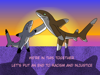 ambiguous_gender duo positive_message public_service_announcement semi-anthro sun sunset text seabreeze629 aquatic blacktip_reef_shark carcharhinus fish oceanic_whitetip_shark reef_shark requiem_shark shark english_text hi_res