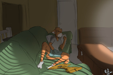 acoustic_guitar anthro bottomwear bulge clothing coffee_table footwear fur furniture guitar hand_in_pants hand_in_underwear inside legwear looking_away male musical_instrument orange_body orange_fur pillow plucked_string_instrument shirt shorts socks sofa solo string_instrument t-shirt table topwear underwear roof_legs cattin_(roof_legs) domestic_cat felid feline felis mammal 2019 3:2 hi_res signature