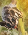 ambiguous_gender brown_body brown_fur feral fur looking_at_viewer solo whiskers steven_huang australian_possum mammal marsupial petaurid sugar_glider 2021 4:5 digital_media_(artwork) digital_painting_(artwork) hi_res