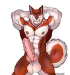 abs anthro balls big_knot big_penis curled_tail dominant dominant_male erection exhibitionism fluffy fluffy_tail genitals grin knot male manly muscular muscular_male nipples nude pecs penis simple_background smile solo tail teasing thick_penis vein veiny_penis white_background bella_vanguard vince_the_malamute alaskan_malamute canid canine canis domestic_dog mammal nordic_sled_dog spitz hi_res