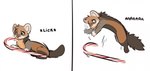 ambiguous_feral ambiguous_gender brown_body brown_fur candy candy_cane dessert feral food fur grey_body grey_fur jumping licking_candy_cane midair simple_background tongue tongue_out two_panel_image whiskers white_background feve gulonine mammal marten mustelid musteline 2024 digital_drawing_(artwork) digital_media_(artwork) hi_res meme