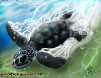 ambiguous_feral ambiguous_gender beady_eyes blue_body bubble feral glistening glistening_eyes grey_body grey_shell grey_tail shell solo swimming tail underwater water pandapaco reptile scalie sea_turtle turtle hi_res signature