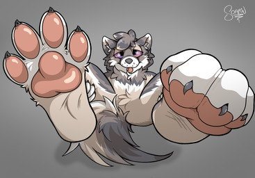 4_toes anthro feet fluffy fluffy_tail foot_focus fur grey_background holding_both_legs hypnosis looking_at_viewer male mind_control neck_tuft pawpads paws perspective pink_pawpads pink_paws simple_background soles solo tail toes tongue tuft wrinkled_feet wrinkles soarinarts canid canine canis mammal wolf hi_res signature