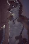 anthro biped blue_eyes dog_tags looking_at_viewer male muscular muscular_anthro muscular_male nude smile solo standing nayel-ie canid canine canis coyote mammal wolf 2014 hi_res