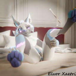 andromorph anthro bed bedroom fingering furniture genitals intersex looking_at_viewer one_eye_closed paws presenting presenting_vulva solo vaginal vaginal_fingering vulva wink winking_at_viewer elvor_xaetri_(artist) vrchat elvor_deuzear canid canine canis deuzear domestic_dog mammal hi_res