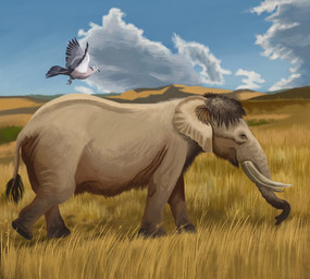 ambiguous_gender black_eyes black_hair blue_sky cloud duo feathers feral field fluing grass grassland grey_body grey_feathers grey_skin hair hill nature outside plant proboscis_(anatomy) quadruped sky trunk_(anatomy) tusks walking white_body white_feathers agustindiazart avian bird columbid elephantid mammal palaeoloxodon pigeon prehistoric_species proboscidean 2024 hi_res