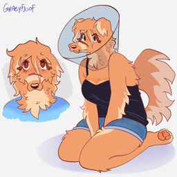 anthro bottomwear breasts cleavage clothed clothing cone cone_of_shame denim denim_bottomwear denim_clothing denim_shorts facial_scar female fluffy fur heart_pupils heart_symbol looking_at_viewer medical_instrument paws scar scientific_instrument shorts solo spaghetti_strap tan_body tan_fur graeyfloof graey borzoi canid canine canis domestic_dog hunting_dog mammal sighthound 1:1 hi_res