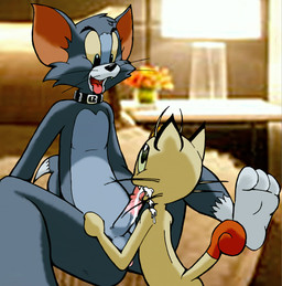 3_toes anthro anthro_on_anthro anus bedroom bent_legs biped black_eyebrows black_eyes black_nose bodily_fluids brown_tail_tip butt butt_from_the_front cheek_tuft collar collar_only cozy cum cum_in_mouth cum_inside curling_tail dipstick_tail duo ejaculation erection eyebrows facial_tuft feet foot_fetish foot_focus fur genital_fluids genitals grey_body grey_fur head_tuft hotel humanoid_feet humanoid_genitalia humanoid_penis inside knees_up leg_markings light looking_pleasured male male/male markings multicolored_body multicolored_fur nude open_mouth oral paws penis photo_background pink_anus plantigrade pointy_ears raised_foot rear_view sitting slave socks_(marking) soles spine spread_legs spreading tail tail_markings tan_body tan_fur toes tongue tongue_out tuft two_tone_body two_tone_fur whiskers white_feet white_tail_tip yellow_sclera djonskin toonpimp metro-goldwyn-mayer nintendo pokemon team_rocket tom_and_jerry meowth_(team_rocket) thomas_cat domestic_cat felid feline felis generation_1_pokemon mammal meowth pokemon_(species) 2019 artist_collaboration colored crossover digital_drawing_(artwork) digital_media_(artwork) hi_res lighting mixed_media photography_(artwork) shaded