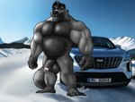 anthro balls beard big_penis car cold facial_hair fluffy fur genitals green_eyes grey_body grey_fur hair_chest humanoid_genitalia humanoid_penis male motor_vehicle mountain muscular mustache norway nude pecs penis snow solo sunny vehicle autofurrart zubr cadillac mammal procyonid raccoon hi_res