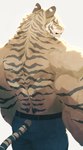 anthro bottomwear clothing male muscular muscular_anthro muscular_male pants rear_view solo striped_body stripes tail triceps whistleglass felid mammal pantherine tiger absurd_res hi_res