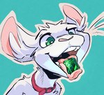 collar emerald_(gem) fur gem green_eyes open_mouth tongue white_body white_fur animancer luck_(animancer) dipodid jerboa mammal rodent hi_res