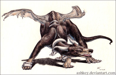 ambiguous_gender claws feral front_view open_mouth quadruped solo tail tapering_tail teeth wings ashkey yamidog nintendo pokemon charizard generation_1_pokemon generation_2_pokemon houndoom hybrid pokemon_(species)