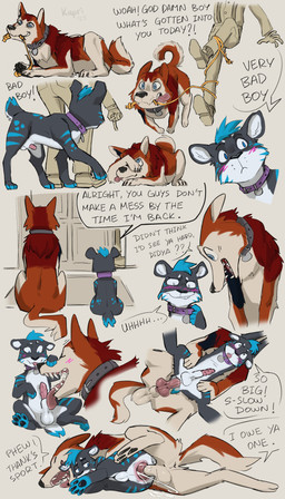 ambiguous_gender anal anal_knotting anal_penetration anatomically_correct anatomically_correct_genitalia anatomically_correct_penis animal_genitalia animal_penis anus balls blue_eyes blush bodily_fluids canine_genitalia canine_penis collar cum cum_in_ass cum_inside cumshot dialogue duo ejaculation erection fellatio feral feral_focus feral_on_feral feral_penetrated feral_penetrating feral_penetrating_feral from_behind_position fur genital_fluids genitals interspecies knot knot_root knotted_penis knotting large_penetration larger_male licking male male/male male_focus male_penetrated male_penetrating male_penetrating_male oral penetration penile penile_penetration penile_spines penis penis_lick penis_size_difference red_body red_fur rope sex sharp_teeth sheath size_difference smaller_male smaller_penetrated stretched_anus teeth text tongue kapri canid canine canis domestic_dog felid feline human mammal absurd_res english_text hi_res