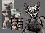 alternative_fashion ambiguous_gender anthro car cigarette clothed clothed_female clothing female feral goth group hairless photo_reference real vehicle puppy_meats domestic_cat felid feline felis hairless_cat mammal sphynx_(cat) hi_res model_sheet photography_(artwork) reference_image