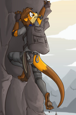 anthro backpack biped black_clothing black_fingerless_gloves black_gloves black_handwear black_markings black_nose brown_hair claws climbing clothed clothing countershade_face countershade_fur countershading dipstick_tail elbow_pads fingerless_gloves fur gloves gloves_(marking) hair handwear knee_pads leg_markings male markings orange_body orange_fur outside short_hair socks_(marking) solo tail tail_markings tan_body tan_countershading tan_fur toe_claws fuf mammal mustelid otter 2019 2:3 hi_res