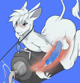 anthro balls big_penis blue_penis blush bodily_fluids breeding_mount butt collar cum cum_in_sex_toy fur genital_fluids genitals hair horn huge_penis humanoid_genitalia humanoid_penis internal leash long_penis male penetrable_sex_toy penile penis penis_milking sex_toy simple_background solo tears white_balls white_body white_fur white_hair con5710 microsoft ori_(series) xbox_game_studios guardian_spirit 2021 hi_res