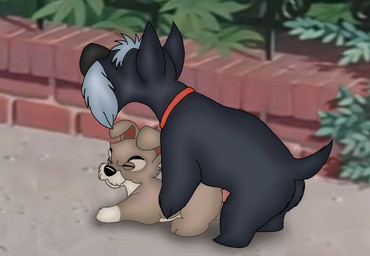 adult_on_young age_difference anal anal_penetration animal_genitalia animal_penis canine_genitalia canine_penis clenched_eyes dominant duo eyes_closed feral feral_on_feral feral_penetrated feral_penetrating feral_penetrating_feral from_behind_position genitals knot larger_dom male male/male male_penetrated male_penetrating male_penetrating_male mounting older_male older_on_young penetration penile penile_penetration penis penis_in_ass quadruped sex size_difference smaller_male smaller_penetrated young young_feral young_male unclejock disney lady_and_the_tramp jock_(lady_and_the_tramp) scamp_(lady_and_the_tramp) canid canine canis domestic_dog hunting_dog mammal schnauzer scottish_terrier terrier