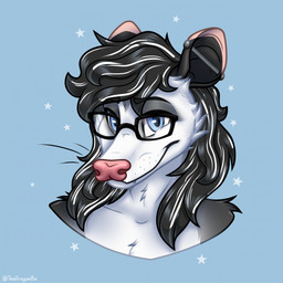 anthro black_eyebrows black_hair blue_background blue_eyes ear_piercing eyebrows eyewear fur glasses hair happy looking_at_viewer male multicolored_body multicolored_fur piercing pink_nose simple_background solo star wearing_glasses whiskers white_body white_fur greenteadragonboi american_opossum mammal marsupial 1:1 hi_res portrait