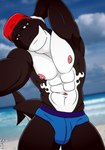 abs anthro beach black_body blue_clothing blue_speedo blue_swimwear bulge closed_smile clothing cloud hand_behind_head kerchief looking_at_viewer male mouth_closed navel nipples pink_nipples pose red_kerchief sand sea sky smile solo speedo standing swimwear tail water white_body fabfelipe cetacean dolphin mammal marine oceanic_dolphin orca toothed_whale 2018 digital_media_(artwork) hi_res