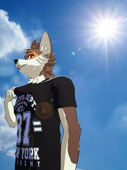 anthro bodily_fluids clothing college_student lens_flare light looking_at_viewer male shirt solo summer sun sunlight sweat sweatdrop t-shirt topwear ariesartist matthew_(ariesartist) border_collie canid canine canis collie domestic_dog herding_dog mammal pastoral_dog sheepdog 3d_(artwork) absurd_res blender_(artwork) digital_media_(artwork) hi_res