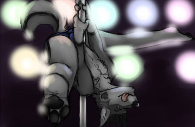 anthro clothed clothing dancing flexible looking_at_viewer looking_through looking_through_legs male pole pole_dancing solo speedo splits spread_legs spreading swimwear tail tongue tongue_out topless upside_down amwulf huskers canid canine canis domestic_dog husky mammal nordic_sled_dog spitz
