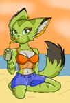 5_fingers anthro athletic athletic_anthro athletic_female barefoot beach black_nose black_tail blue_bottomwear blue_clothing blue_shorts bottomwear bra breasts clothing collarbone container cup dipstick_tail drinking_glass drinking_straw feet female fingers front_view fur glass glass_container glass_cup green_body green_eyes green_fur green_tail looking_at_viewer markings medium_breasts midriff multicolored_tail navel orange_bra orange_clothing orange_drink orange_sky orange_underwear seaside shorts sitting sky solo tail tail_markings translucent translucent_clothing two_tone_tail underwear water gerald_serault freedom_planet galaxytrail carol_tea felid feline felis mammal wildcat hi_res