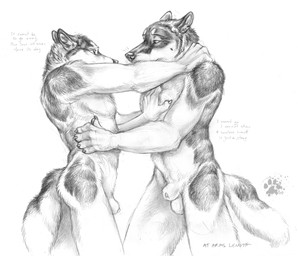5_fingers animal_genitalia anthro balls claws duo ears_back eye_contact finger_claws fingers fur genitals hand_on_chest hand_on_shoulder hand_on_side looking_at_another male male/male neck_tuft nude nude_anthro nude_male paws penis penis_tip pivoted_ears sheath side_view standing tail text tuft blotch scratches_volume_3 canid canine mammal 2009 english_text greyscale monochrome traditional_media_(artwork)