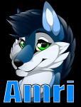 anthro fur hair looking_at_viewer male simple_background smile solo text transparent_background gard3r amri canid canine mammal alpha_channel english_text