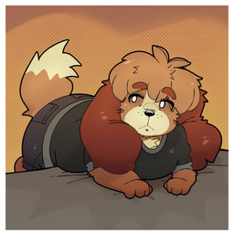 anthro bent_over_furniture big_ears black_bottomwear black_clothing black_shirt black_shorts black_topwear border bottomwear brown_body brown_fur brown_hair chest_tuft clothing denim denim_bottomwear denim_clothing denim_shorts freckled_face freckles fur hair lying male on_front shirt shorts solo tail topwear tuft whisker_spots white_border nonientalz animal_crossing nintendo digby_(animal_crossing) canid canine canis domestic_dog mammal shih_tzu toy_dog 1:1 hi_res