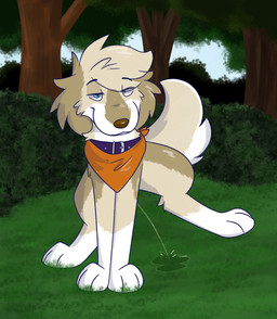 bodily_fluids collar female feral genital_fluids heterochromia kerchief peeing peeing_outside smile smirk solo urine watersports vixeyhuskybutt gracie_(vixeyhuskybutt) bird_dog canid canine canis domestic_dog golden_retriever hunting_dog mammal retriever hi_res