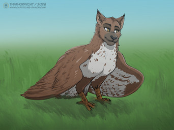 claws feathers feral grass outside plant sky smile smirk standing sun wings thathornycat capitoline_ranch chip_(capitoline_ranch) avian felid feline mammal colored hi_res shaded sketch