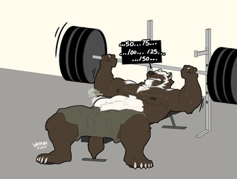 5_fingers 5_toes abdominal_bulge abs after_vore annoyed anthro areola arm_markings arm_tuft barefoot belly belly_tuft biceps biped black_areola black_body black_fur black_nipples black_nose blub bodily_fluids bodily_noises bottomwear brown_body brown_eyes brown_fur bulge cheek_tuft chest_tuft chin_tuft claws clenched_teeth clothed clothing countershade_belly countershading counting dialogue different_sound_effects digestion ellipsis exercise facial_markings facial_tuft feet finger_claws fingers flexing fluffy fluffy_tail front_view fur glurk green_text grey_background grey_bottomwear grey_clothing grey_shorts gym half-closed_eyes head_markings head_tuft holding_object holding_weights hungry inner_ear_fluff inside leg_tuft looking_up lying male markings motion_lines muscular muscular_anthro muscular_male narrowed_eyes navel neck_tuft nipples number offscreen_character on_back paws pecs rumbling_stomach shortened_sound_effect shorts shoulder_markings shoulder_tuft simple_background small_tail solo sound_effect_variant sound_effects speech_bubble spread_legs spreading sweat tail teeth text three-quarter_view tired toe_claws toes topless topless_anthro topless_male triceps tuft vein vore vowelless vowelless_sound_effect weight_bench weightlifting white_body white_claws white_countershading white_fur white_markings white_text white_tuft workout wildside bursikbadger american_badger badger mammal mustelid musteline 2021 colored dated digital_drawing_(artwork) digital_media_(artwork) english_text hi_res shaded signature